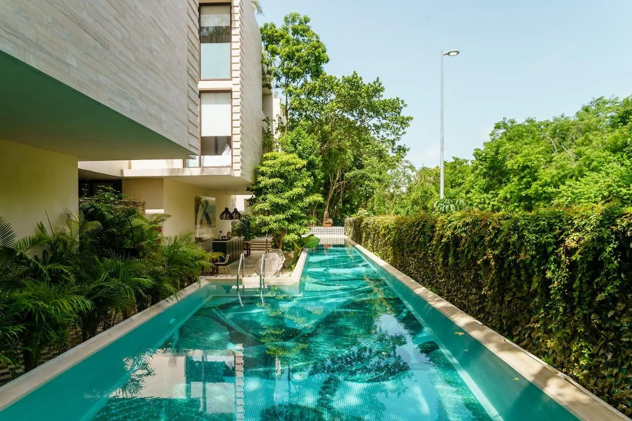 Private Pool Apartment For Groups Tulum
