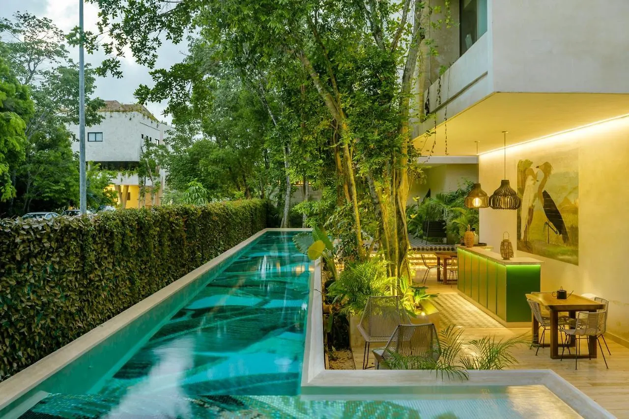 Private Pool Apartment For Groups Tulum 0*,  México