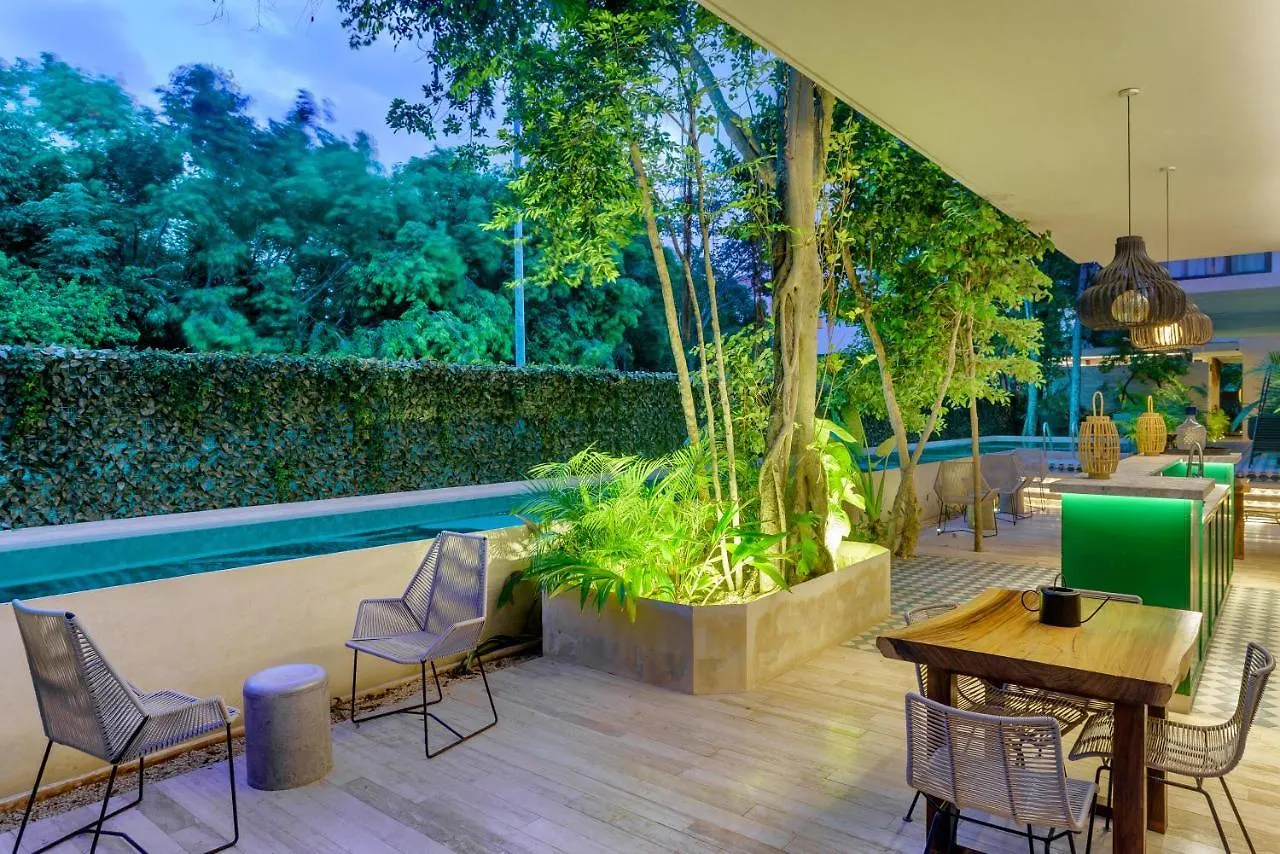 Private Pool Apartment For Groups Tulum México