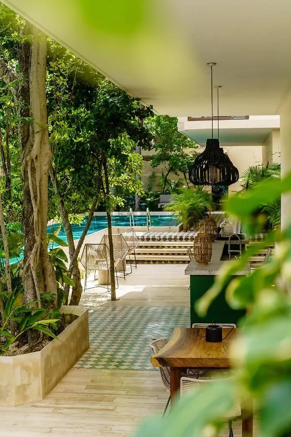 Private Pool Apartment For Groups Tulum
