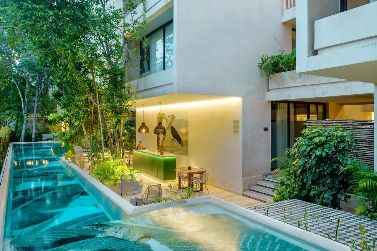 Private Pool Apartment For Groups Tulum
